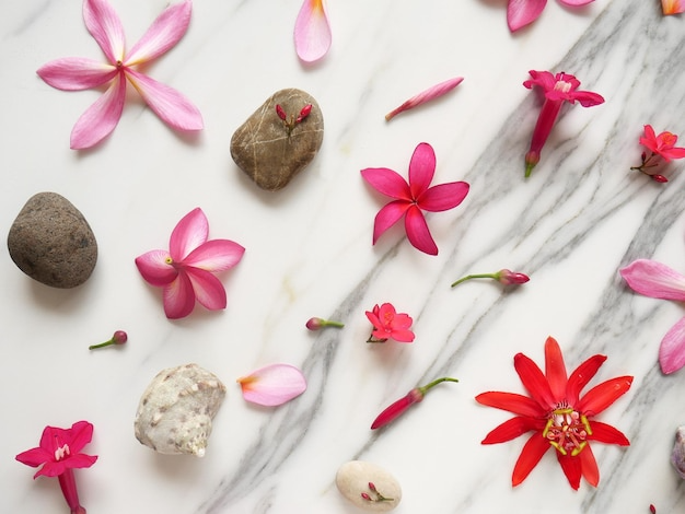 skin treatment - Sugared Aesthetics & Wellness